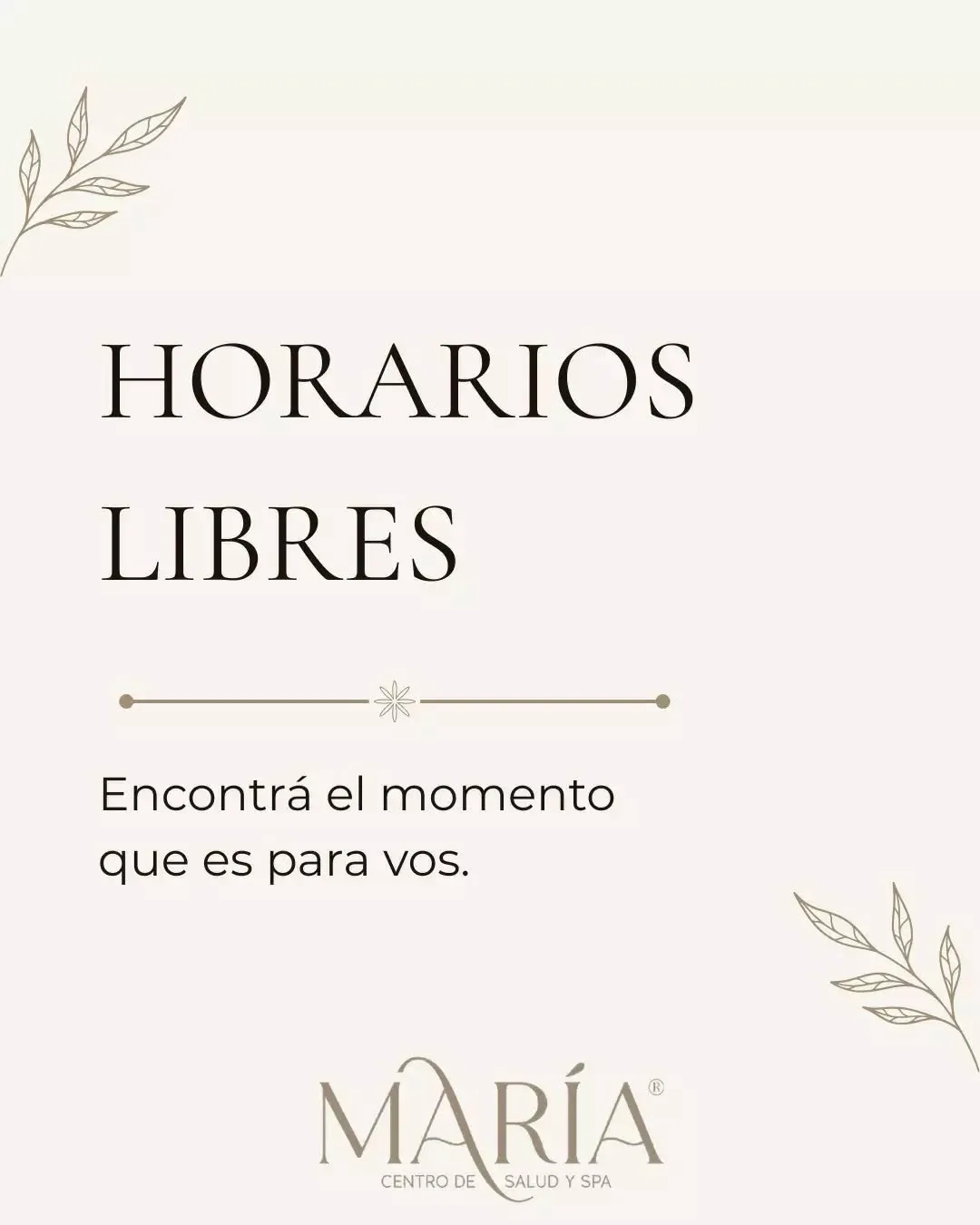 Oferta 4