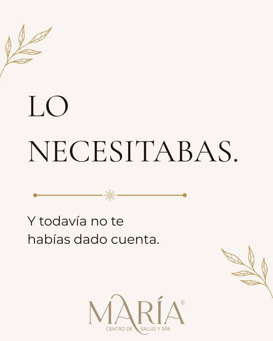 Oferta 5