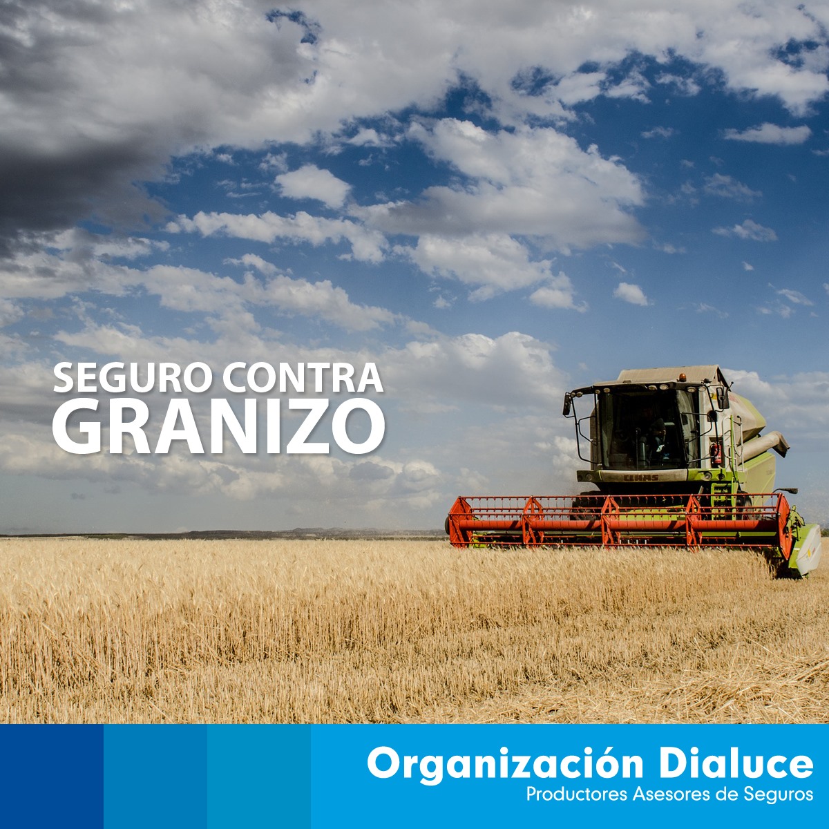Foto 5 de Organizacion Dialuce