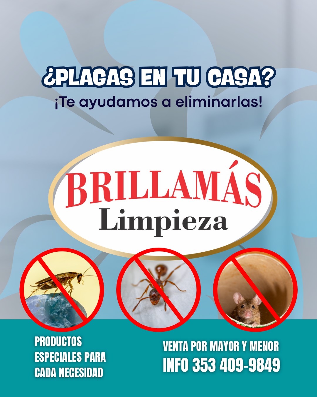 Foto 4 de Brilla Más