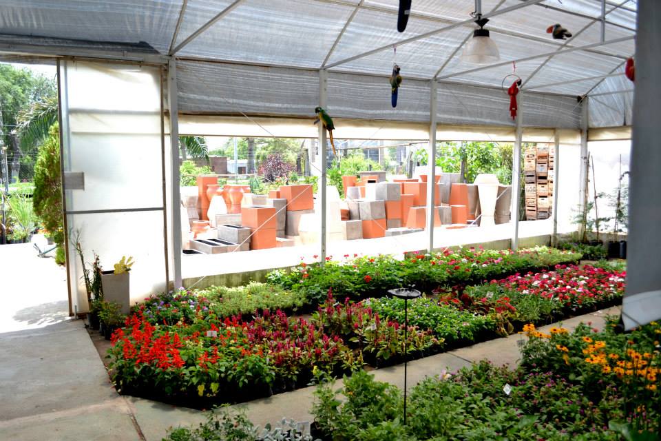 Foto 4 de Vivero Arco Iris